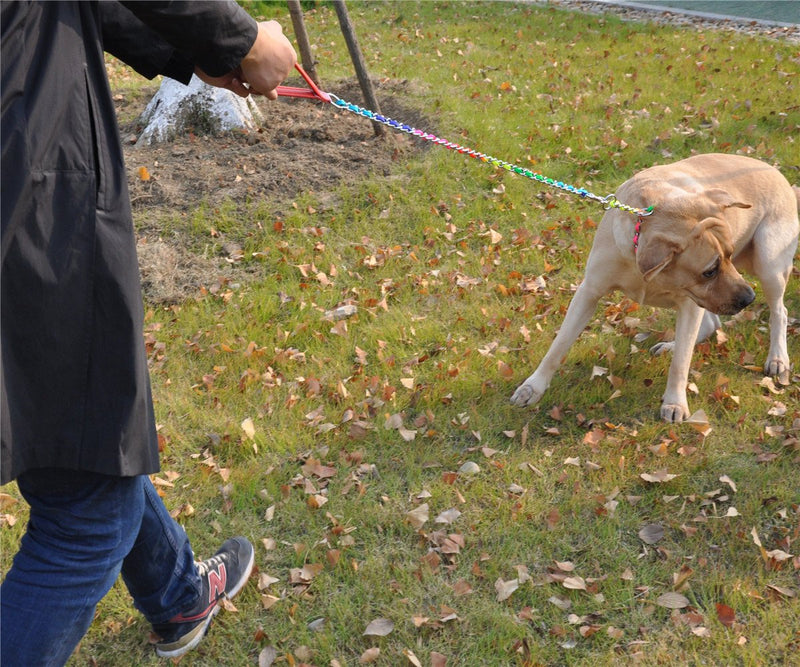 JWPCEU Rainbow Chrome Plated Metal Dog Lead with Padded Handle M (3mm * 100cm) - PawsPlanet Australia