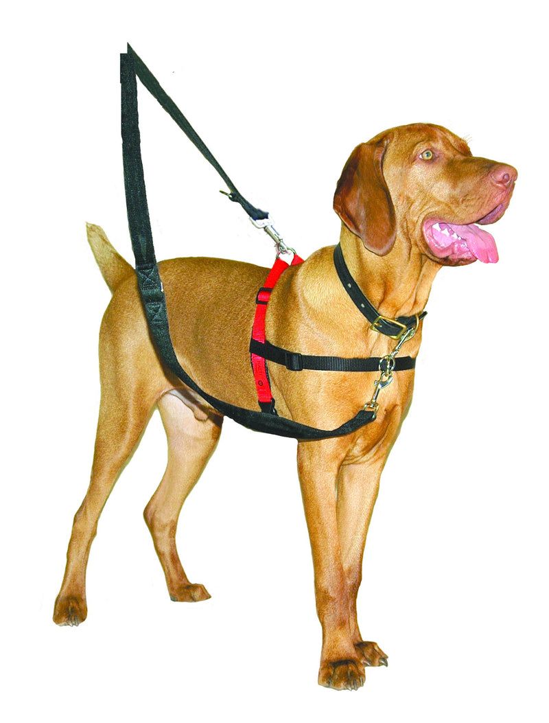 [Australia] - The Company of Animals Pet Harness Medium Black/Red 