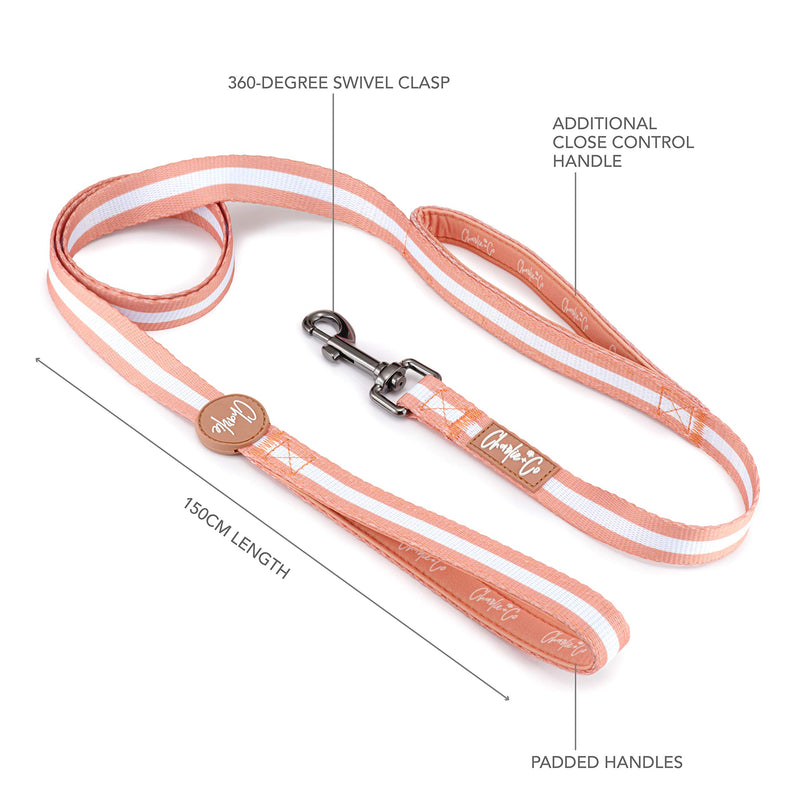 Charlie + Co Dog Lead with Comfortable Padded Neoprene Handles and Close Control Traffic Grip (5 FT / 150 cm) (Life's a Peach) Life's a Peach - PawsPlanet Australia