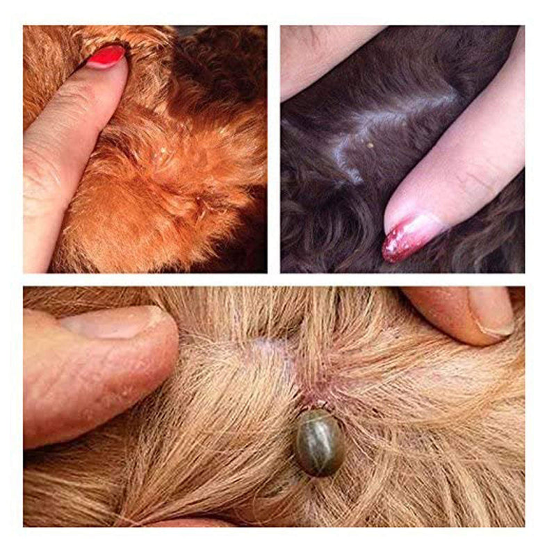 AFTREN Professional Tick Remover Pet Care Tool Set for Dogs/Cats/Horses/Humans 3PCS Stainless Steel Fleas Ticks Remover Kit with Storage - PawsPlanet Australia