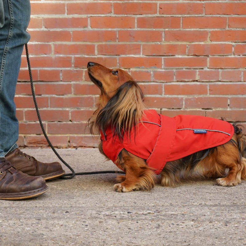 [Australia] - DJANGO City Slicker All-Weather Dog Jacket & Water-Repellent Raincoat with Reflective Piping Large Cherry Red 