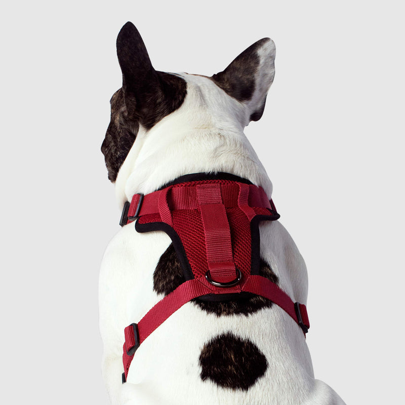 [Australia] - Canada Pooch Everything Harness Red L 