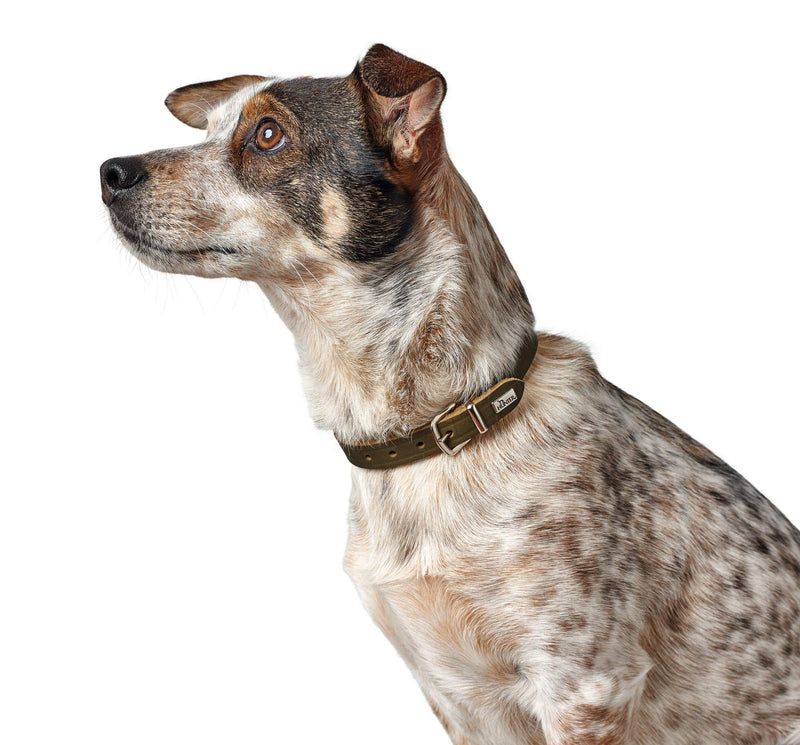 HUNTER Collar Aalborg, 32 67293 Soft genuine cow leather, olive - PawsPlanet Australia