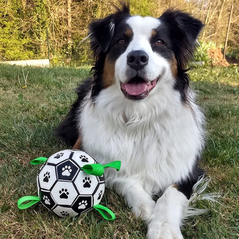 MIDOG Dog Balls Interactive Dog Toys for Large Dog Soccer Ball Indestructible for Small Medium Dogs Tough Herding Ball for Dogs Durable Outdoor Dog Toys Puppy Dog Yard Pool Toys Lifetime Replacement Green - PawsPlanet Australia