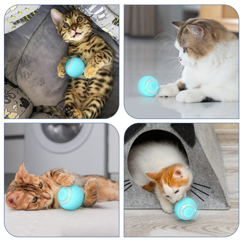 EXTFANS Cat Toy Electric Cat Ball with LED Light, Automatic 360 Degree Rollball Interactive Cat Toy with USB Rechargeable Interactive Cat Ball for Cats (Blue) - PawsPlanet Australia