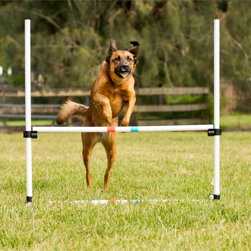 Midlee Dog Agility Bar Jump - PawsPlanet Australia