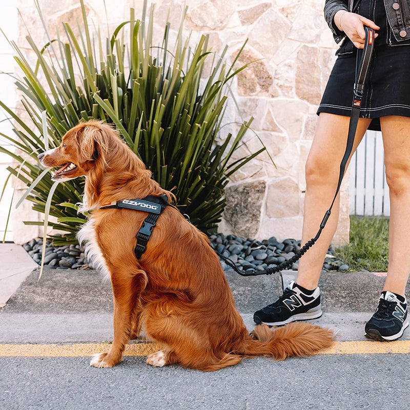 EZYDOG Express Dog Harness | Dog Harness for Small, Medium and Large Dogs, Angled Ergonomic Design, Molded Handle, Easy Release Side Buckle (XS, Red) XS - PawsPlanet Australia