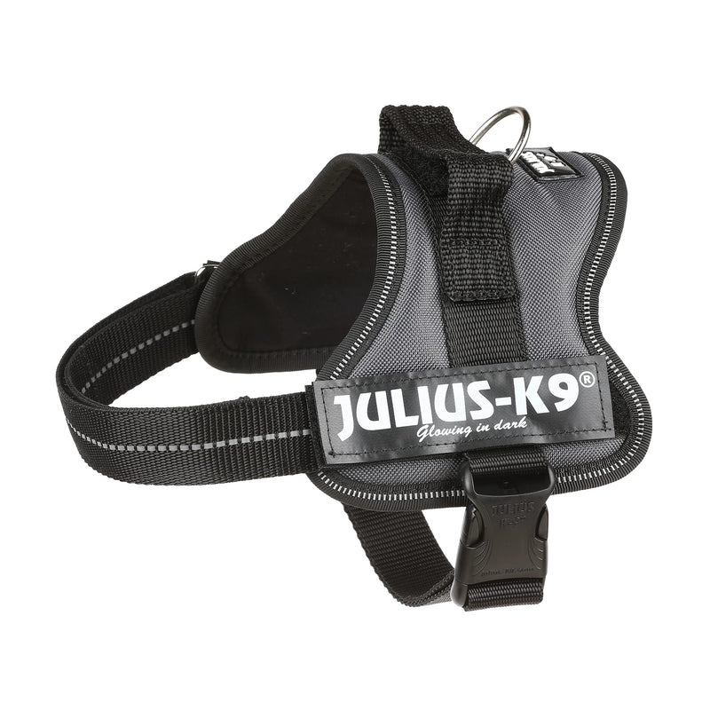 Julius-K9, 162ANT-M, K9-Powerharness, dog harness, Size: Mini, Anthracite S/Mini - PawsPlanet Australia