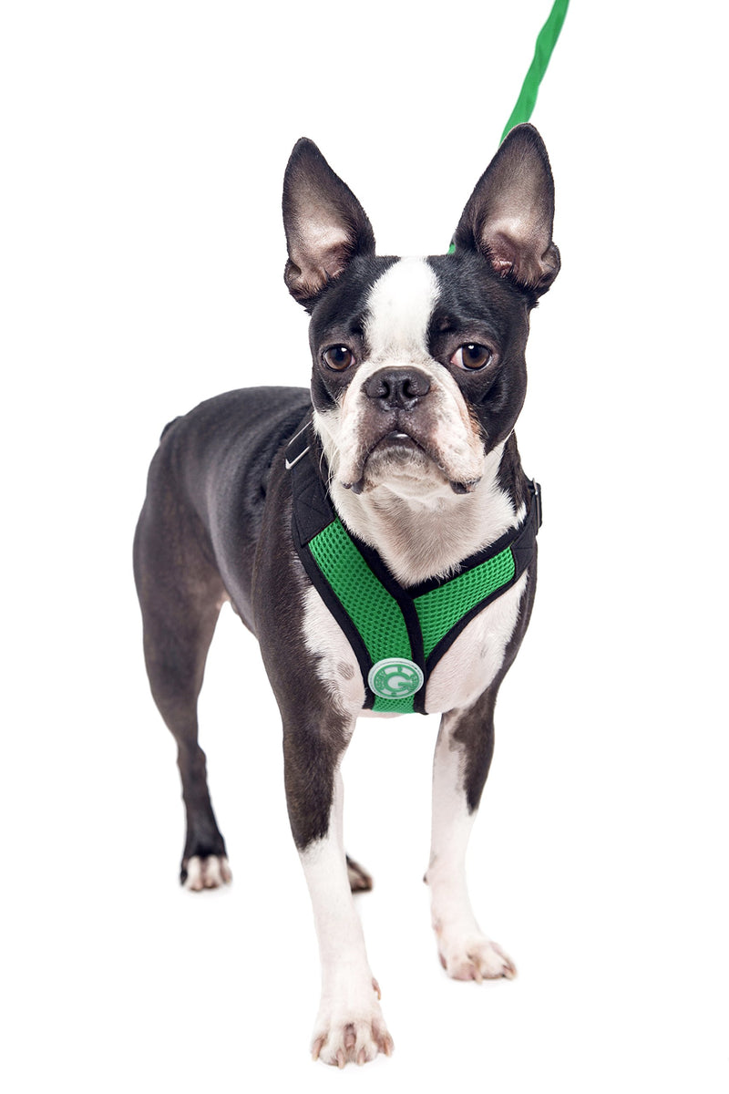 [Australia] - Gooby - Perfect Fit X Harness, Small Dog Choke Free Step-In Harness with Synthetic Lambskin Soft Strap Small chest (12-15") Hunter Green 