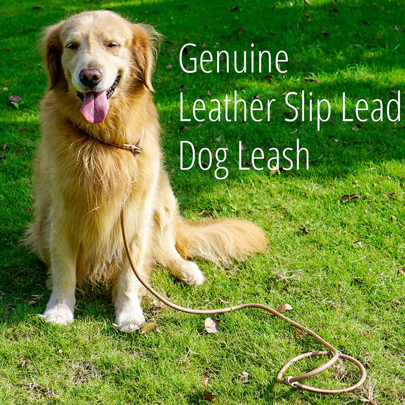 AhTai Genuine Leather Slip Lead - Adjustable Dog Leash for Large Medium Dogs - 7FT in Length - Leash and Collar in One - PawsPlanet Australia