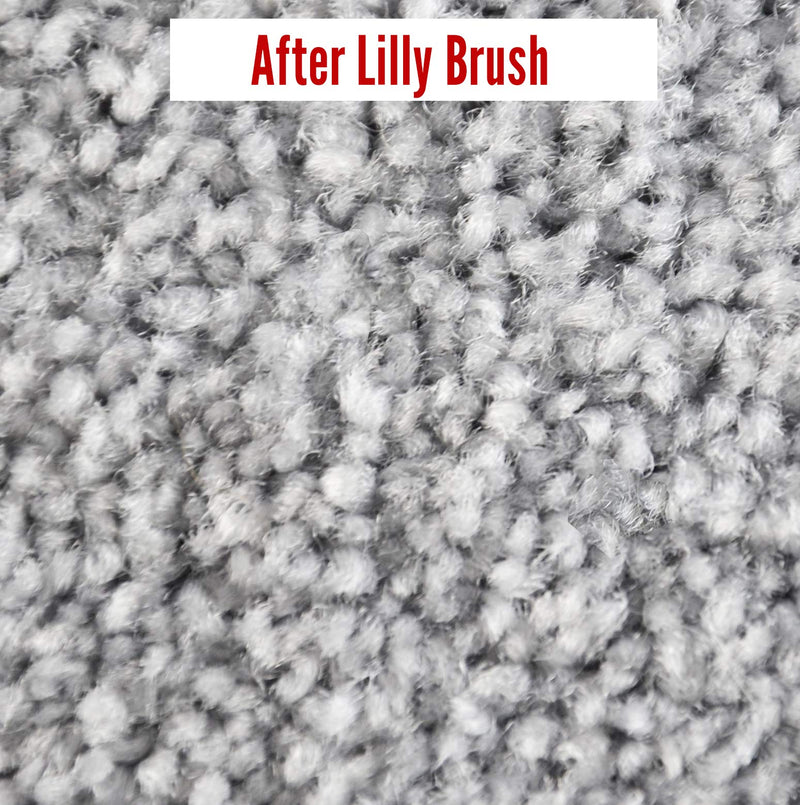 Lilly Brush Mighty Pet Hair Detailer Head (NO HANDLE) Dog Hair & Cat Hair Remover for Carpets and Rugs. Fits on ALL standard broom sticks. - PawsPlanet Australia