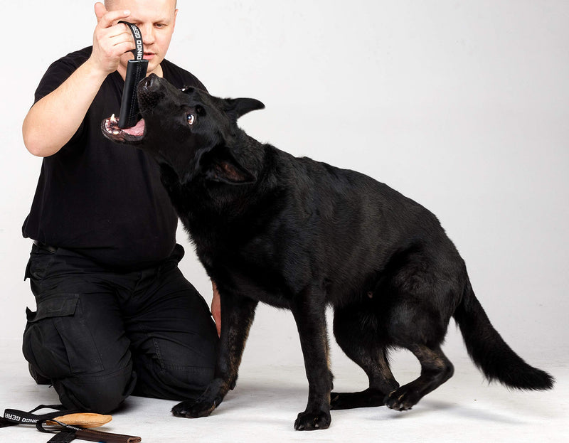 DINGO GEAR Dog Bite Tug Handmade of Black Grain Leather Strong Tug for Bite Training K9 IPO Agility and Just Fun S00232 - PawsPlanet Australia