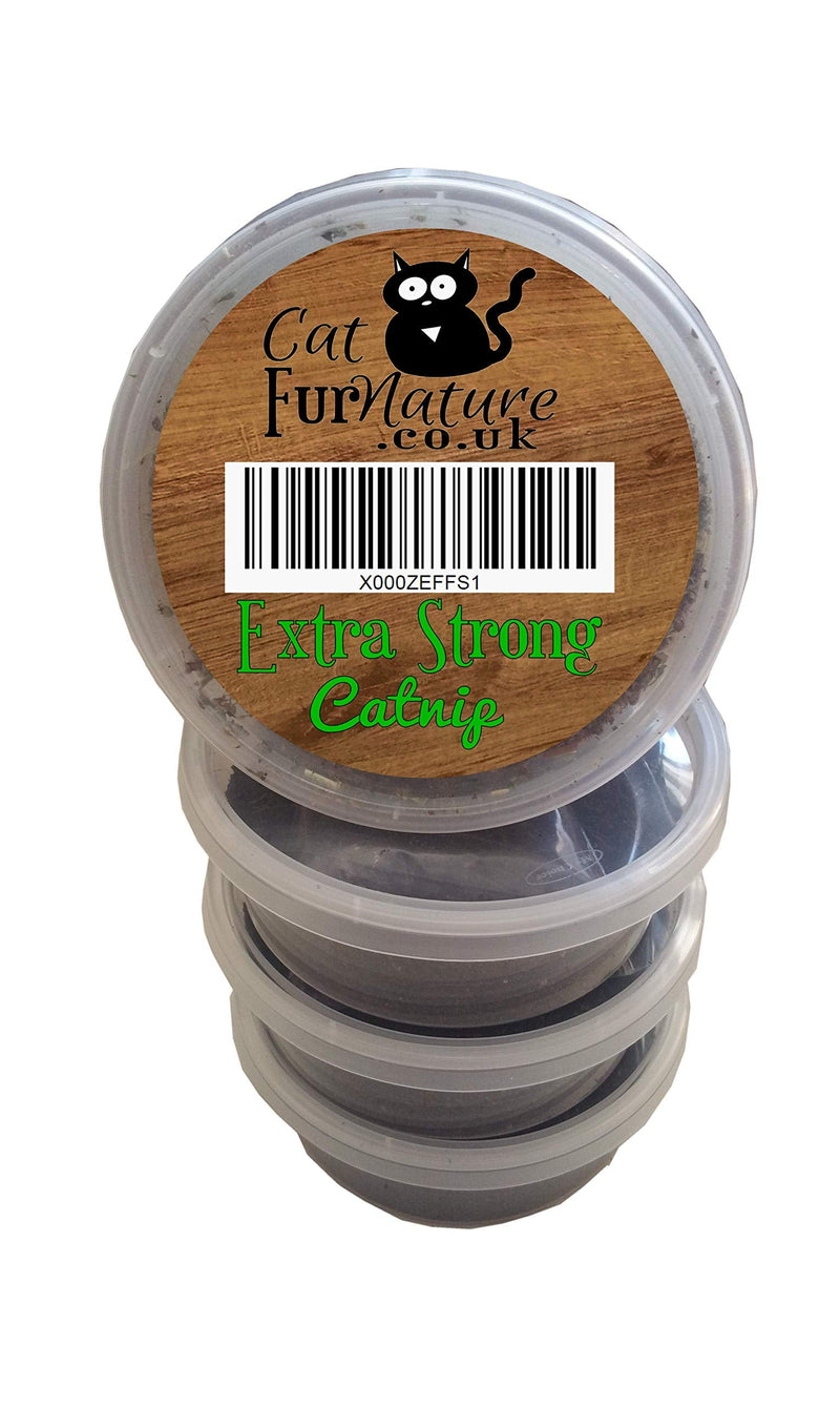Cat Grass Kits x3 and Extra Strong Catnip x1 By Cat FurNature - PawsPlanet Australia