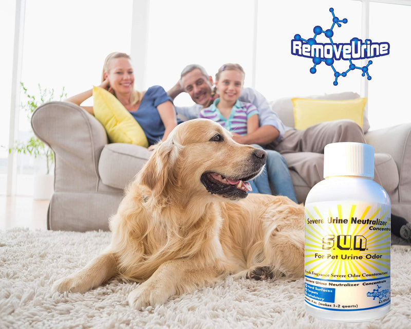 [Australia] - REMOVEURINE Severe Urine Neutralizer for Dog and Cat Urine - Best Odor Eliminator and Stain Remover for Carpet, Hardwood Floors, Concrete, Mattress, Furniture, Laundry, Turf by Remove Urine 1 Bottle 4 ounces 