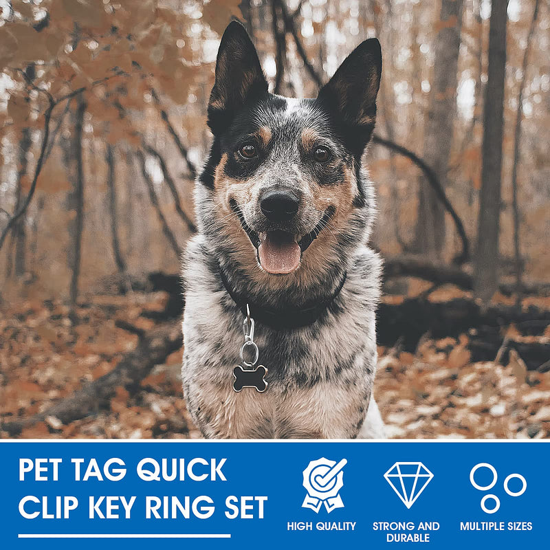 TIESOME Dog Tag Clips with Rings, 6 Pieces Dog Tag Clips 18 Pieces Tag Rings Stainless Steel Pet Tag Clip Dog Tag Holder Quick Release for Collar and Harness 1.3 x 0.6 Inch - PawsPlanet Australia