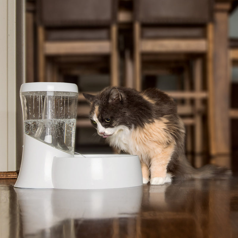 [Australia] - Petmate Fresh Flow Rain Battery Fountain for Cats and Dogs, 75 oz 