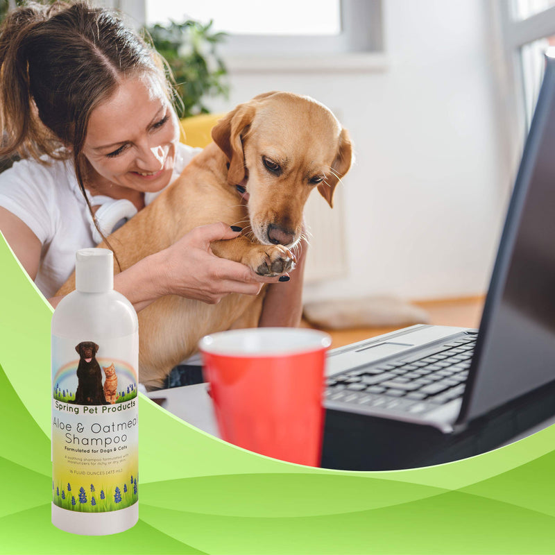 [Australia] - Spring Pet Aloe and Oatmeal Shampoo for Dogs and Cats ~ Veterinarians Choice Hypoallergenic Formula Blend of Coat and Skin Conditioners and Moisturizers Made in USA 16 Ounce 