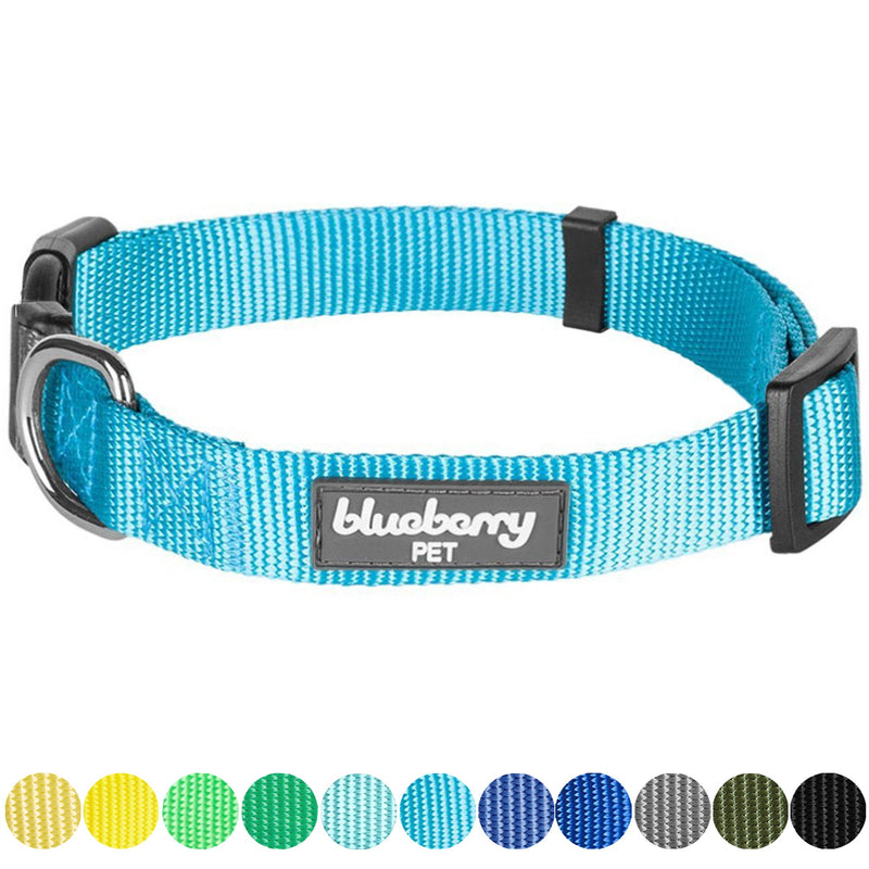 [Australia] - Blueberry Pet Essentials 22 Colors Classic Solid Color Collection - Regular Collars, Martingale Collars, Personalized Collars or Seatbelts Regular Collar - Small Turquoise 