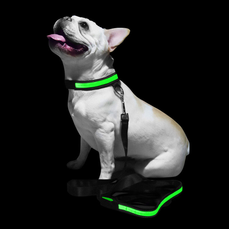 [Australia] - PoundWishes PW750-RD LED Dog Leash Green 