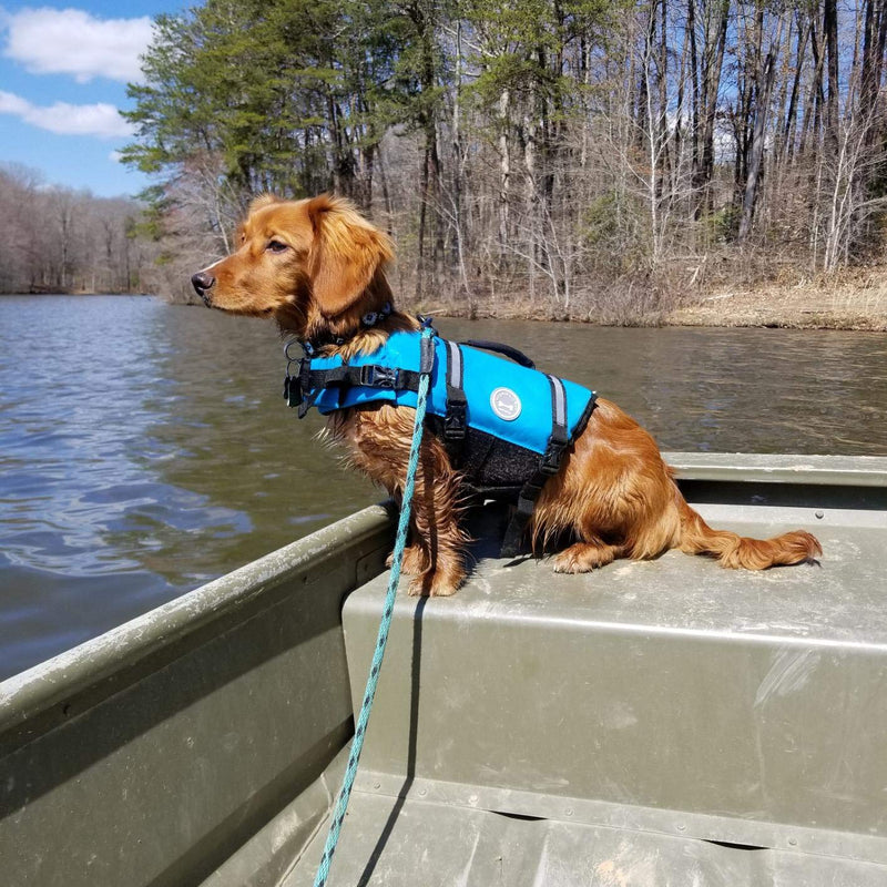 VIVAGLORY Ripstop Dog Life Vest, Reflective Puppy Life Jacket with Enhanced Buoyancy & Rescue Handle, Blue, XS XS: 35-43 cm (Ribcage Girth) - PawsPlanet Australia