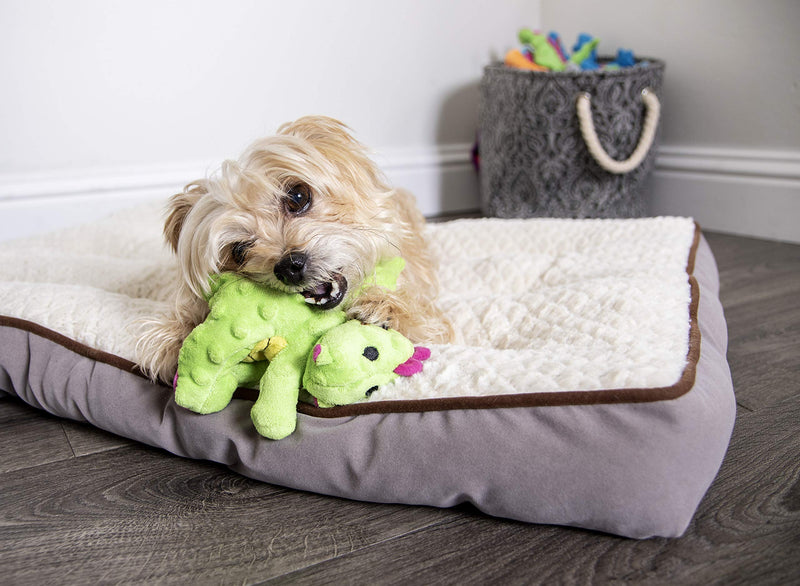 [Australia] - goDog Dragons with Chew Guard Technology Plush Squeaker Dog Toy, Bright Green and Pink, Small (70640) 