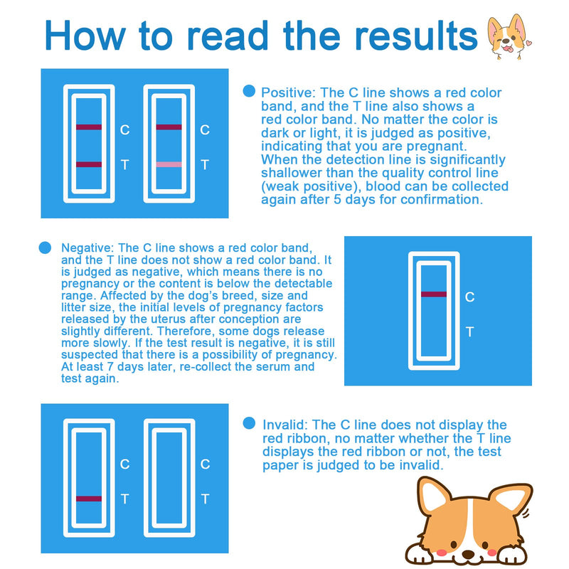 HHUK Pet Dog Pregnancy Test Paper,Canine RLN Early Pregnancy Test Kit, Simple Operation for Early Pregnancy Detection Yourself at Home,One-time Use Pet Pregnancy Test Complete Tool Kit (3PCS) - PawsPlanet Australia