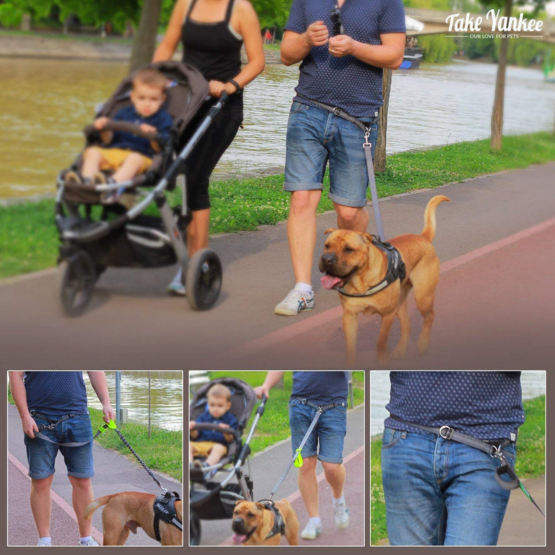 [Australia] - TAKE YANKEE Hands Free Dog Leash + Training Running Walking Leash & Double Leash Set, Fits 2 Dogs + Reflective Leash • Adjustable Waist Belt + Strong Bungee Leash + Poop Bag Holder TWO Dogs RED 