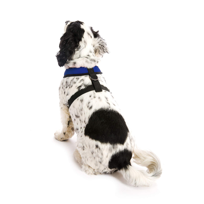 [Australia] - Gooby - Soft Mesh Harness, Small Dog Harness with Breathable Mesh Large chest (14-19") Blue 