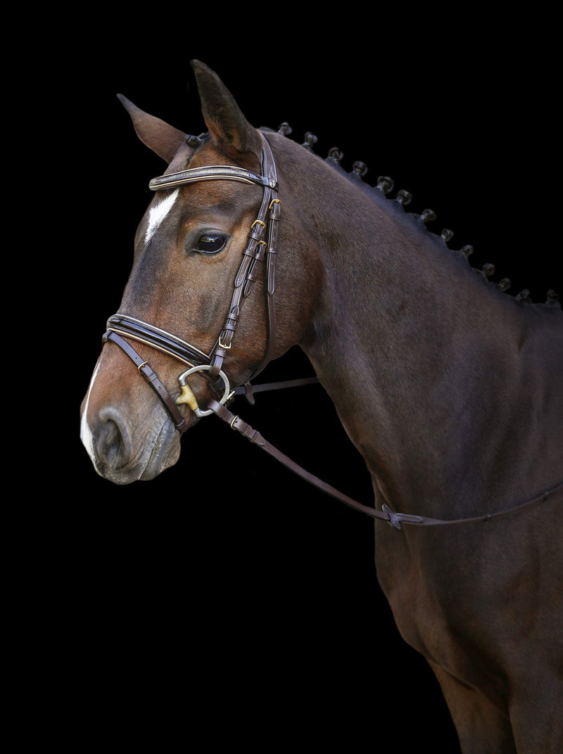 Covalliero Kingston Snaffle Bridle, Brown, Full Size - PawsPlanet Australia