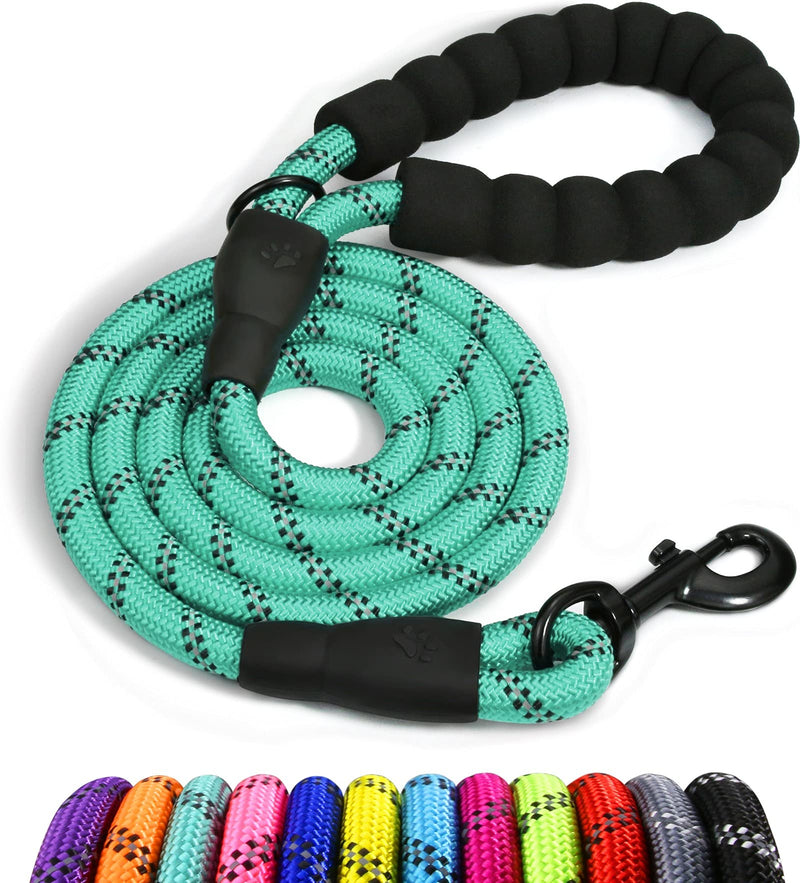Taglory dog leash with comfortable padded handle, robust dog leash for training and walking, 180 x 1.0 cm reflective leash made of soft nylon for medium-sized dogs, turquoise 180 x 1 cm (pack of 1) - PawsPlanet Australia