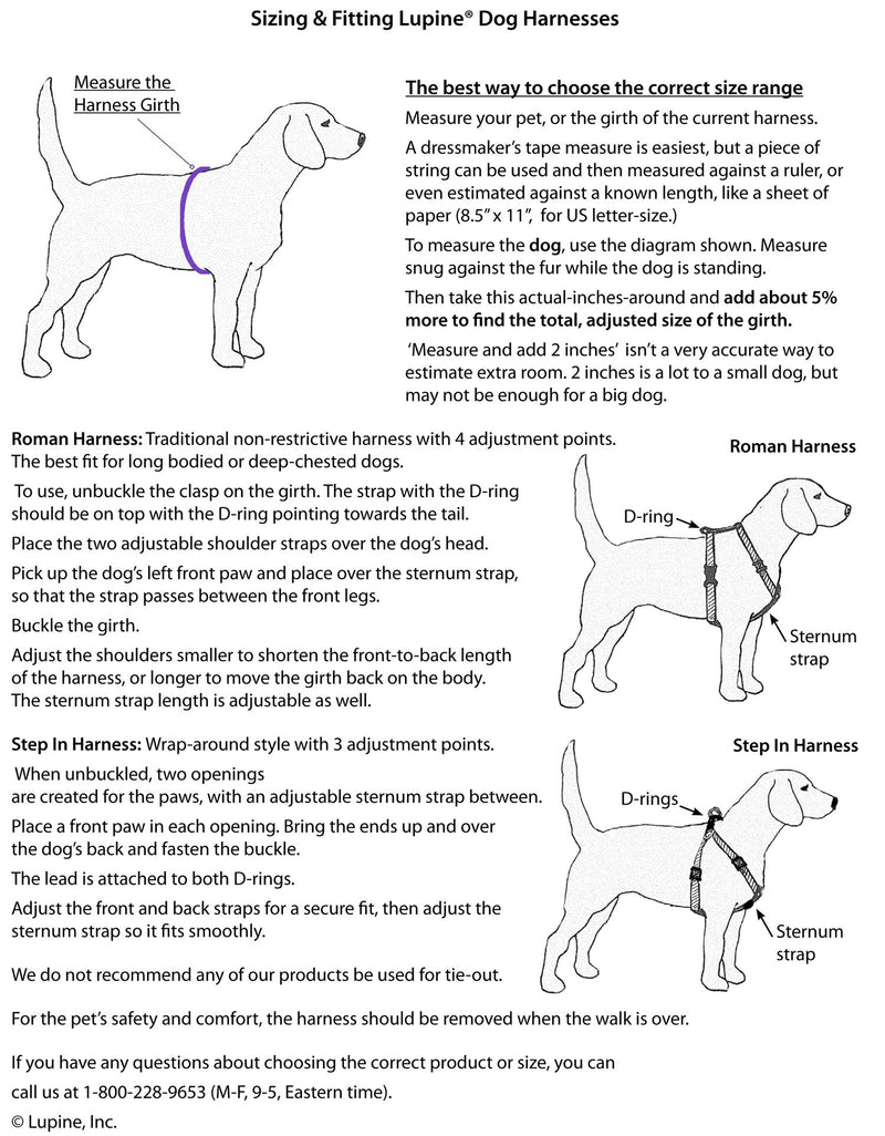 [Australia] - Lupine 3/4 Inch Rain Song Roman Dog Harness 3/4"W; 20-32" Girth 