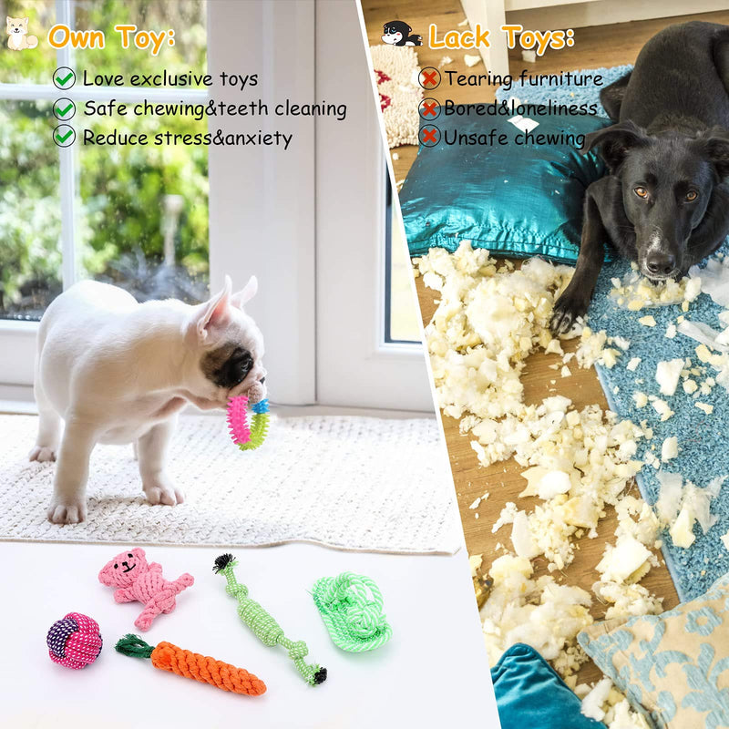 Puppy Rope Toy Pack for Aggressive Chewers, Small Dog Interactive Chew Toys for Teething Tug of War, Durable Pull Toys for Medium Dog 10pcs - PawsPlanet Australia