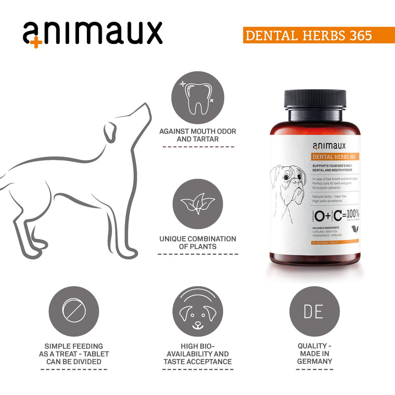 animaux dental herbs 365 – Herbal Supplement for dogs I Supports Teeth Cleaning, Oral Care & Mouth Hygiene I Bad Breath Freshener with Seaweed I Natural Treats for Prevention of Plaque & Tartar - PawsPlanet Australia