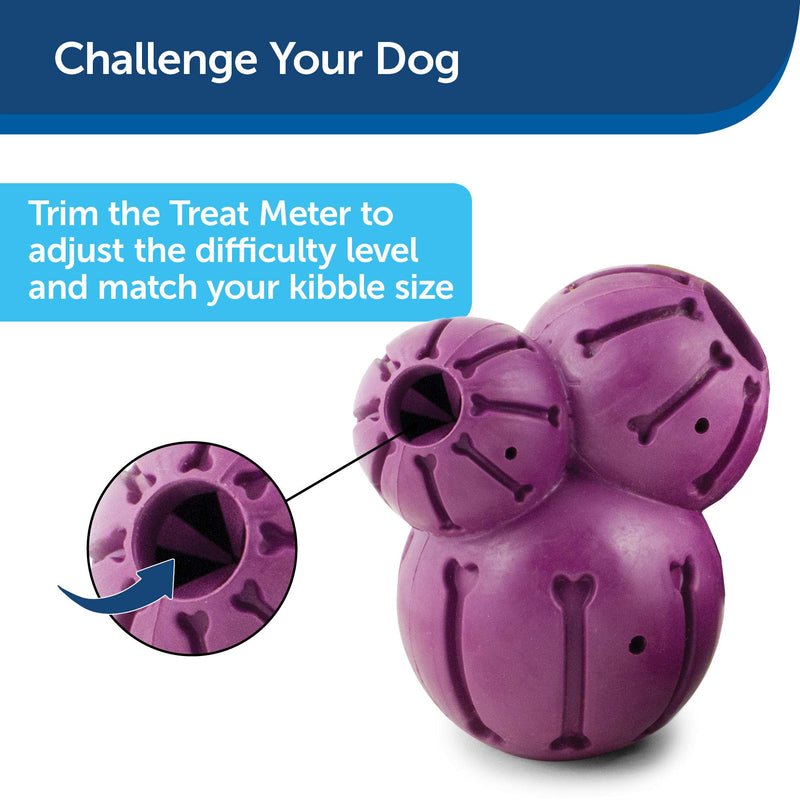 [Australia] - PetSafe Busy Buddy Barnacle Treat Dispensing Dog Toy Medium 