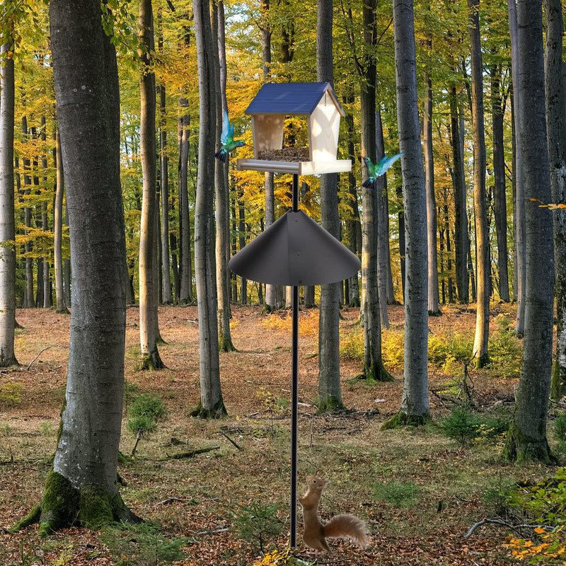 Wrap Around Squirrel Baffle,14 Inch Foldable Squirrel Guard Baffles,Universal Squirrel Proof Baffle,Protect Feeding Stations,Both Pole Mounted,Hanging Bird Feeders,Bird Feed Guard and Bird Houses - PawsPlanet Australia