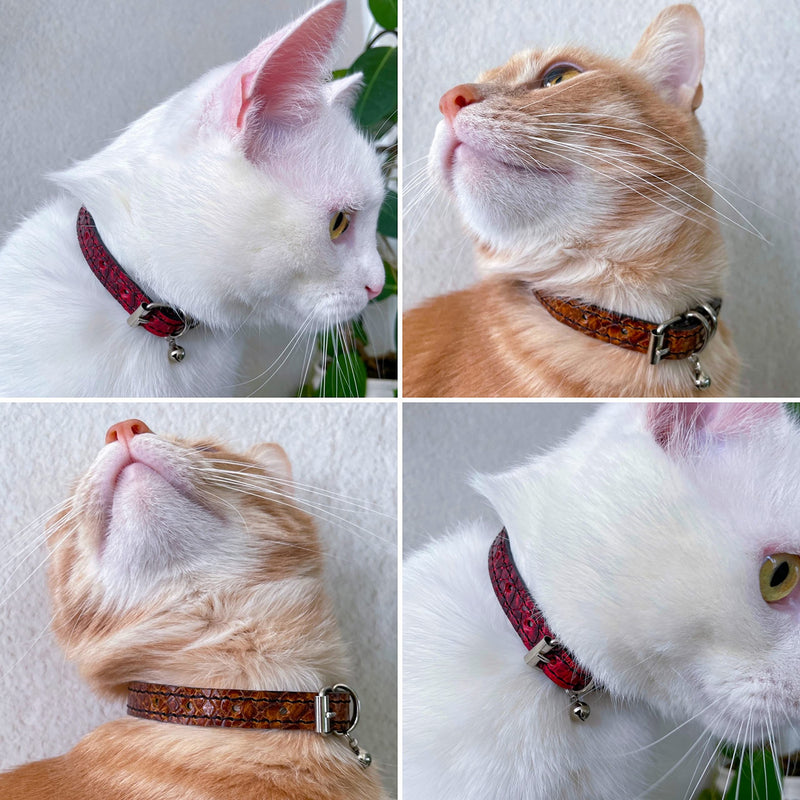 FAVPET Luxury cat collars leather, handmade cat collar with bell, genuine leather cat collar with metal buckle, designer cat collar made of leather, cat collar with bell (brown) brown - PawsPlanet Australia