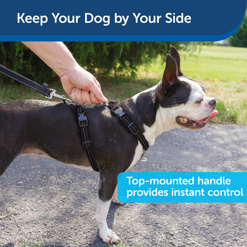 [Australia] - PetSafe 3 in 1 Harness - No-Pull Dog Harness - for X-Small, Small, Medium and Large Breeds - from the Makers of the Easy Walk Harness Black Extra Small 