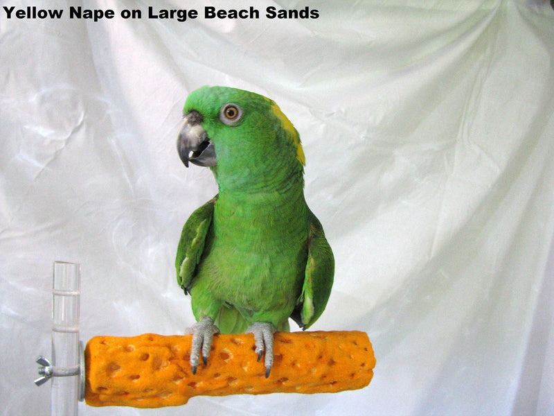 [Australia] - Polly's Beach Sands Bird Perch, Large 