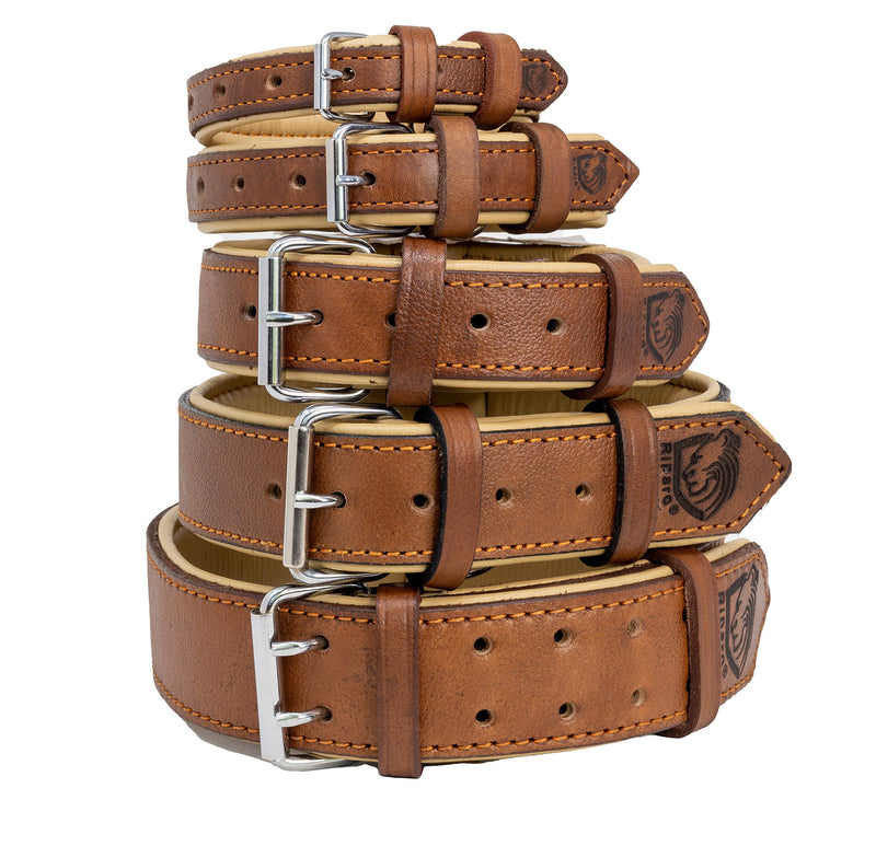 Riparo Genuine Leather Padded Dog Heavy Duty K-9 Adjustable Collar L: 3.8CM Wide for 45.7CM - 53.3CM Neck Brown - PawsPlanet Australia