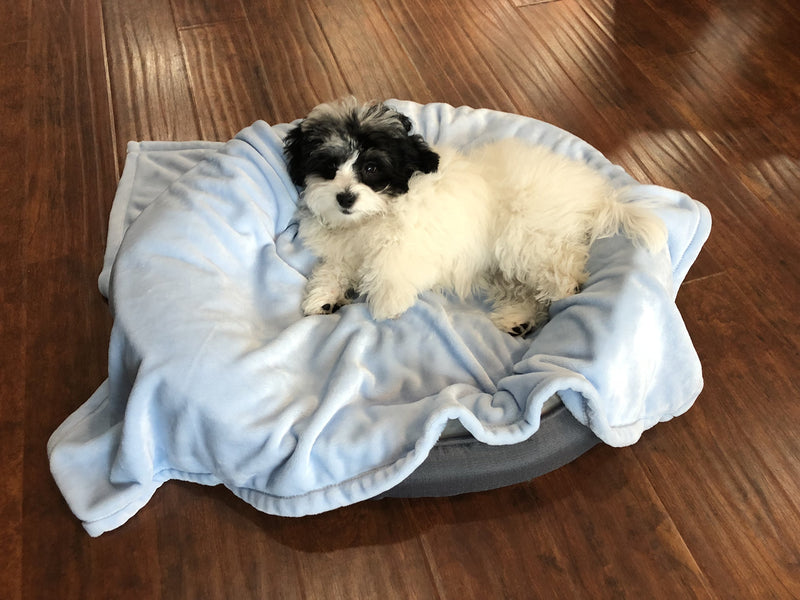 [Australia] - Higher Comfort Super Soft Premium Pet Blankets for Small Dogs, Puppies, Cats & Kittens - 30" x 40" - Great for Pet Beds and Carriers Best Friend Blue 