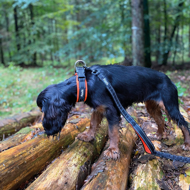 Floxik dog collar adjustable size S | Soft neoprene collar for dogs and puppies in different sizes including strain relief - PawsPlanet Australia