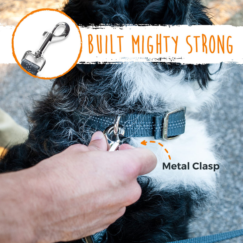 Mighty Paw Double Dog Leash, Two Dog Adjustable Length Dog Lead, Premium Quality No-Tangle Leash for 2 Dogs No Handle Lite | Dogs < 30lbs - PawsPlanet Australia