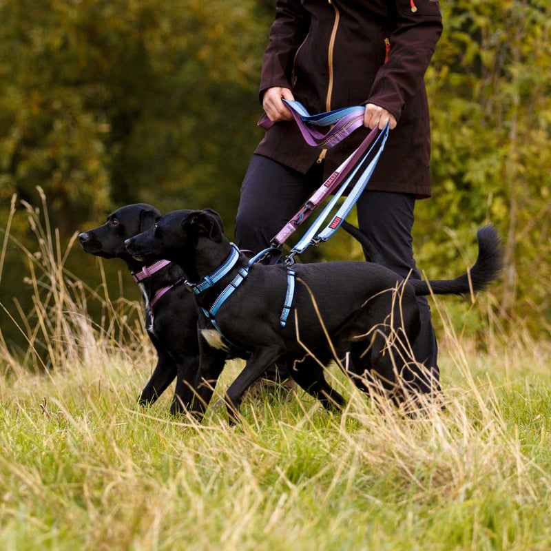 Halti Double Ended Lead (6'6"), Black/Grey - PawsPlanet Australia