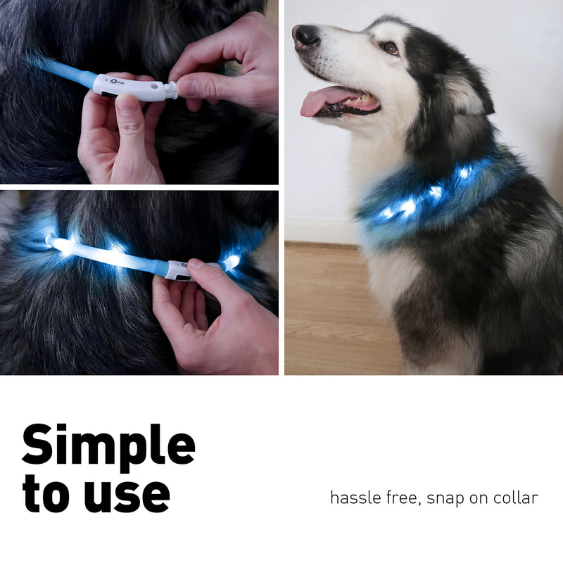 Dog Collar light for the dark, Silicone Collar Flashing Led Light for pets- USB Rechargeable - Makes Your Dog Visible (Blue) - PawsPlanet Australia