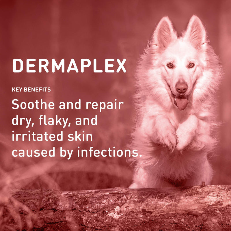 [Australia] - International Veterinary Sciences IVS Dermaplex Medicated Natural Shampoo with Tea Tree Oil to Soothe Dry, Irritated Skin for Dogs, Made in the USA 16 Ounce 