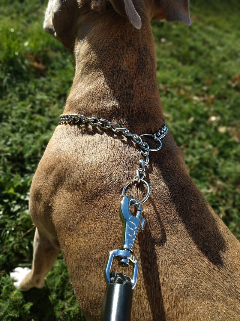 ParaDogs Strong Dog Choke Chain Training Collar for Medium and Large Dogs 4mm x 75 cm X-Large 4.0mm*75cm - PawsPlanet Australia