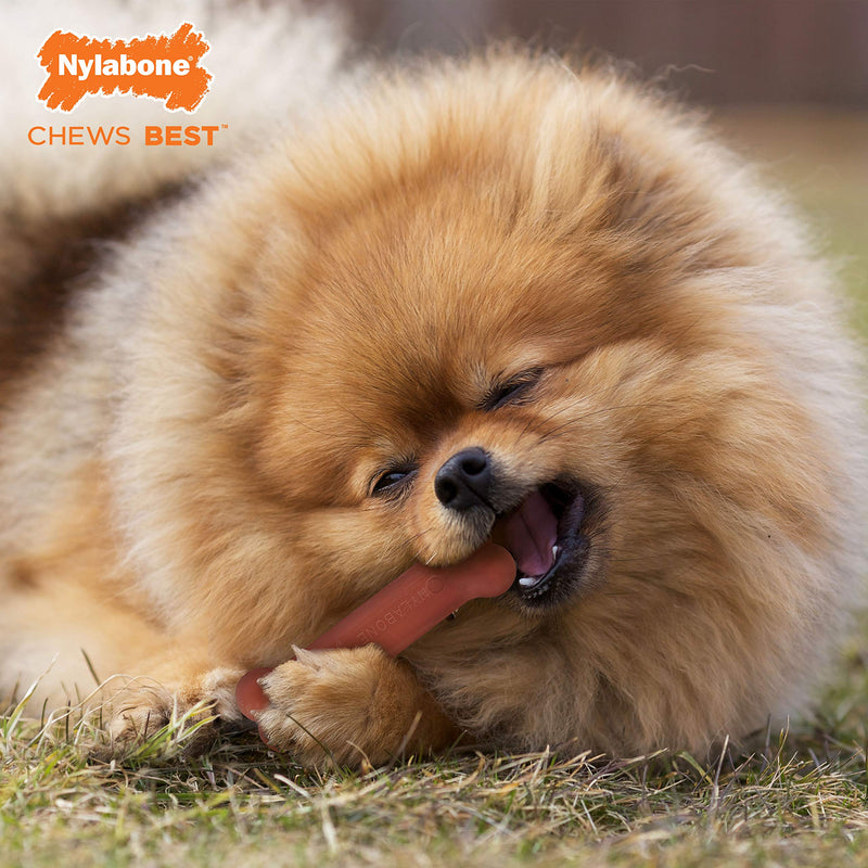 Nylabone Power Chew Dog Bones for Aggressive Chewers Tough Chew Toys for Dogs Bacon Small/Regular (1 Count) - PawsPlanet Australia
