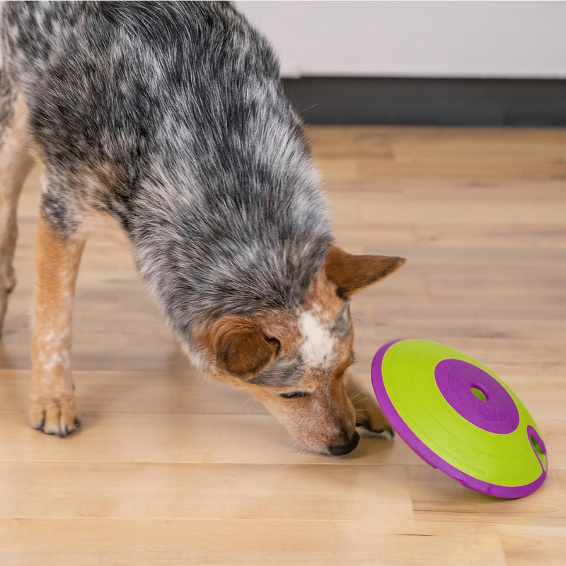 Outward Hound Nina Ottosson Treat Maze - Interactive Dog Toy for Treats - Advanced Level 2 (Intermediate) - PawsPlanet Australia