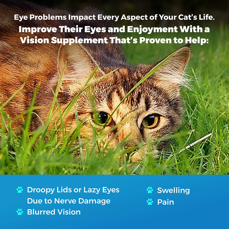 Eye Care and Vision Support for Cats - Holistic Kitten Eye Infection Treatment Helps with Conjunctivitis, Swelling, Discharge and More - 450 ct. Easy to Use Pills Relieve the Cat Eye Drops Struggle - PawsPlanet Australia
