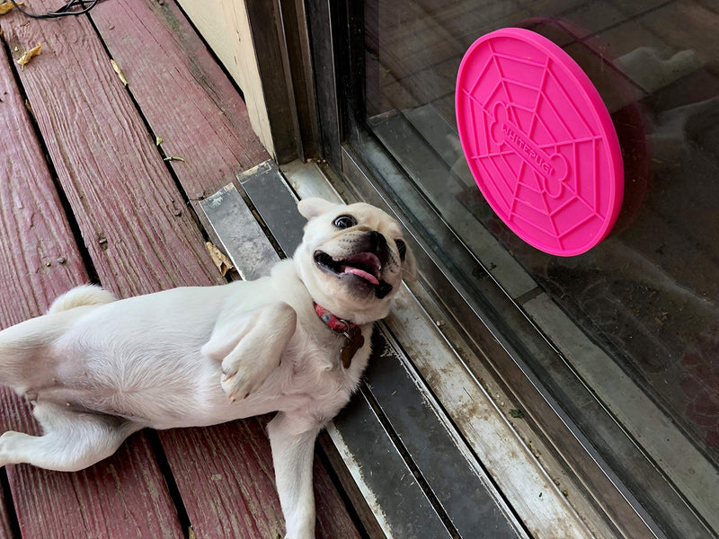 [Australia] - WHITEPUG! 'Licking Suction PAD for Dogs' Upgraded (Pink) 